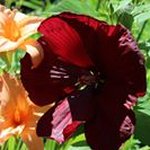 Jill Bittner - @bittner.jill - Instagram
