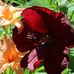Jill Bittner - Facebook