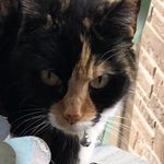 Jill Blackburn - @blackburn6349 - Instagram