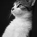Jill Blackwell - Facebook