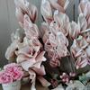 jillblakely29 - @jillblakely29 - TikTok