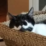 Jill Blankenship - @jill.blankenship.3 - Instagram