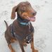 Jill Blechschmidt - Facebook