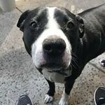 Jill Bledsoe - @jillbledsoe - Instagram