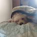 Joel Bodine - Facebook