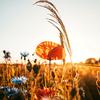 Jill Boggs - @gottaloveall - TikTok