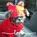Jill Hershey Boggs - Facebook