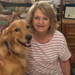 Jill Collins Boswell - @judijill40 - Instagram