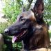 Jill Boucher - Facebook