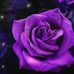 Casey Jill Bounds - Facebook