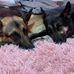 Jill Branham - Facebook