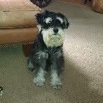 Jill Broderick - @mollygirlsmom - Instagram