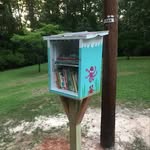 Jill Buck LFL - @rockinghamlittlefreelibrary - Instagram