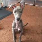 Jill&Bun  K.Y - @jill_bunchan - Instagram