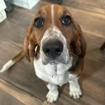 Jill Burk Drupa Bressler - @jilldrupa - Instagram
