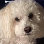 Jillian Burkett - @jill.burkett.9 - Instagram