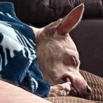 Jill Burley - @momilicious13 - Instagram
