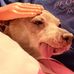 Jill Drews Burley - Facebook
