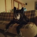 Jill Burris - @jburr1701 - Instagram