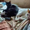 Jill Burris - @jill.burris - TikTok