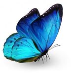 Jill - @jill_butterfly - Instagram