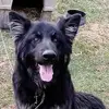 Jill Carson25 - @jillcarson25 - TikTok