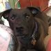 Jill Cavanaugh - Facebook