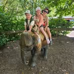 Jill Cawley - Facebook
