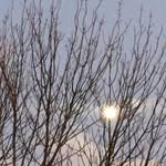 Jill Meadows-Challis - @meadowschallis - Instagram
