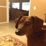Jill Cherry - @jilljewel - Instagram
