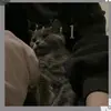 JillCherry84ZpJt - @jillcherry84zpjt - TikTok