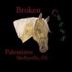 Jill Childs - @brokenc.barn_quilts - Instagram