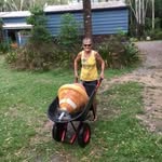 jill chism - @jillchism8 - Instagram