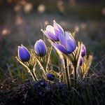 Jill - @jillclayholtphotography - Instagram