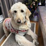 Jill Cleary Calafiore - @anthony__landscaping - Instagram