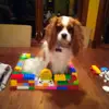jillianocleary - @jillianocleary - TikTok