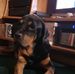 Jill Coates - Facebook