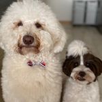 じるここ　⁂JILL & COCO⁂ - @jillcoco_doodle - Instagram