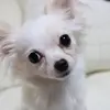 jillcoco2 - @jillcoco21 - TikTok