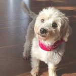 Jill.coco_❤️ - @croco_jilll - Instagram