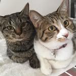 Meme_and_mima - @jill_and_coco - Instagram