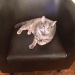 Jill Coffman - @coffmanjill - Instagram
