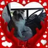 Jill Coffman Dee - @jill.coffman.dee - TikTok