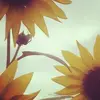jillcolvin - @jillcolvin - TikTok