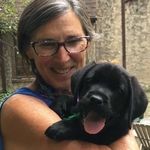Jill Conlon - @jeconlon - Instagram
