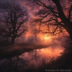 Jill Conlon Phelps  - Facebook