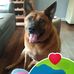 Jill Coggan - Facebook