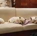 Jill Coyle - Facebook