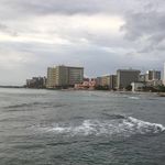 Jill Crist - @revelationinnature - Instagram