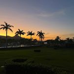 Jill Crist Tice - @jctice - Instagram